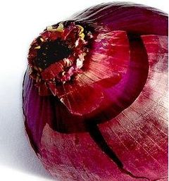 Immagine profilo di cipolla.rossa